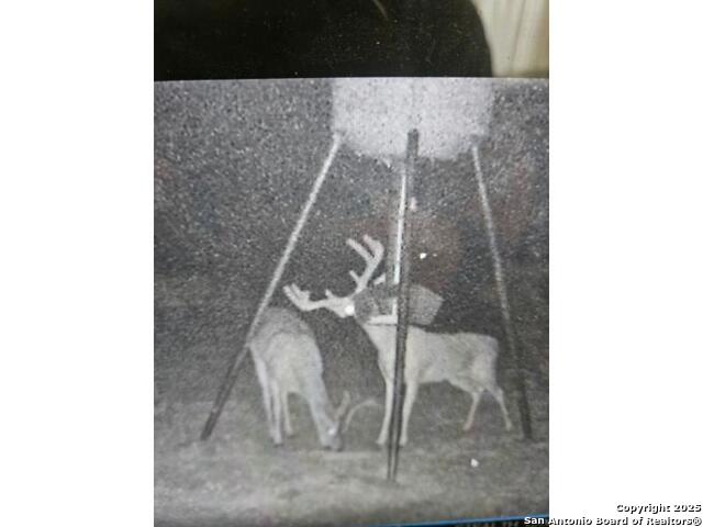 Listing photo id 0 for 00 Fm 1343