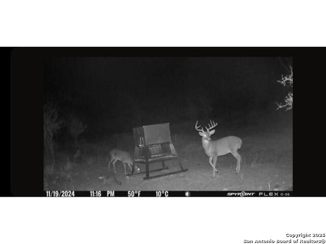Listing photo id 1 for 00 Fm 1343