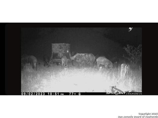 Listing photo id 2 for 00 Fm 1343