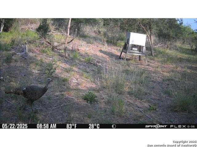 Listing photo id 3 for 00 Fm 1343