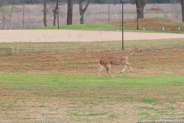 Image 29 of 29 For 178 Spring Creek Circle