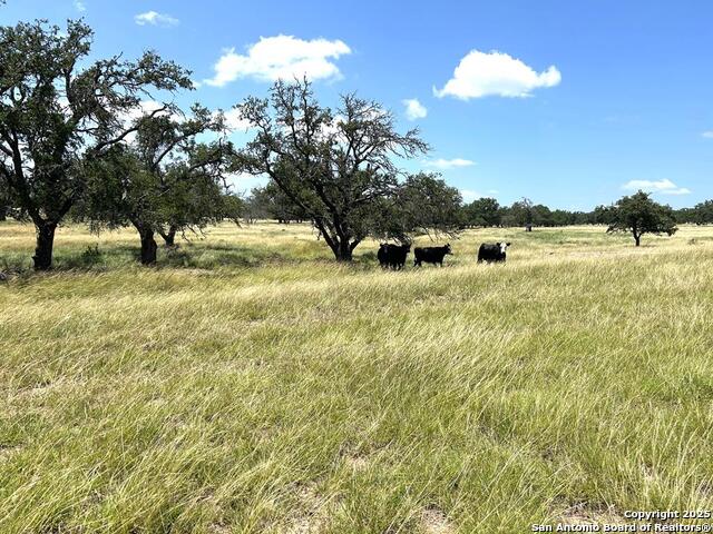 Image 11 of 16 For 3240 Ranch Rd 783