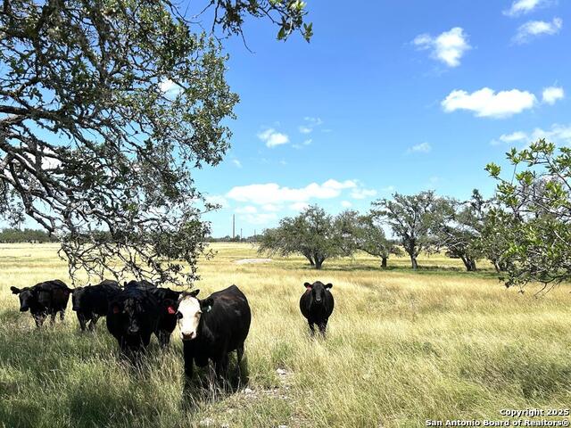 Image 3 of 16 For 3240 Ranch Rd 783