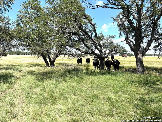 Image 8 of 16 For 3240 Ranch Rd 783