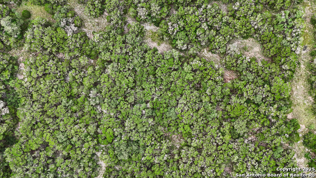 Listing photo id 11 for 00 County Road 2753