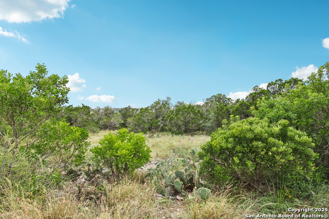 Listing photo id 0 for 00 County Road 2753