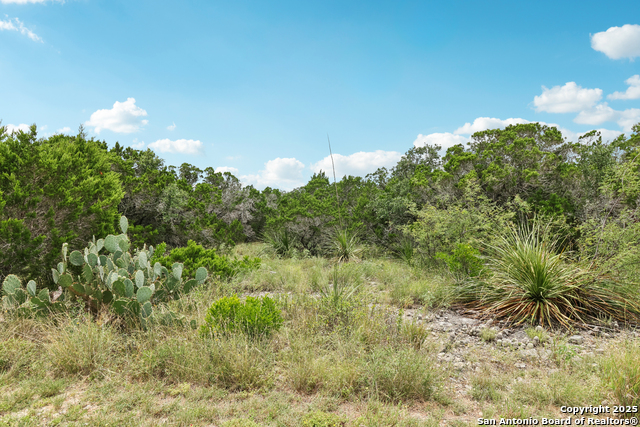 Listing photo id 1 for 00 County Road 2753