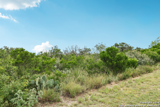 Listing photo id 4 for 00 County Road 2753