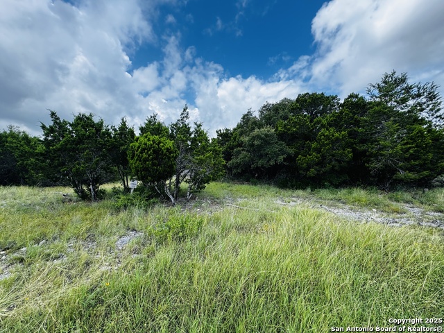 Details for 317 Cr Rd 273, Mico, TX 78056