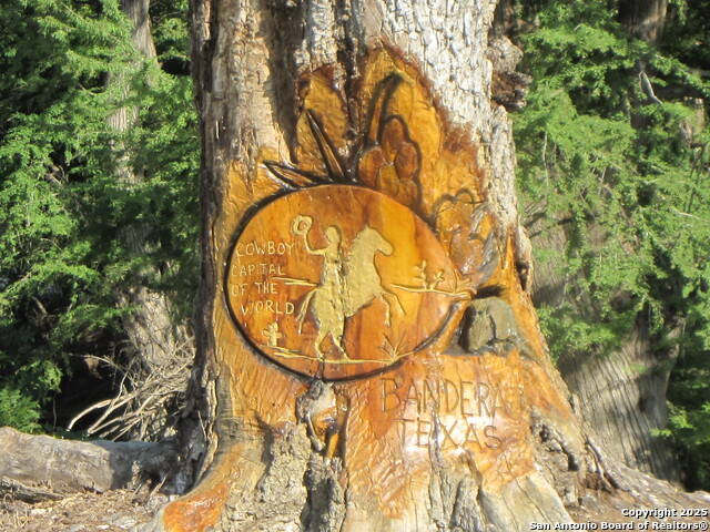 Listing photo id 6 for Tbd Lot 1 Pecan