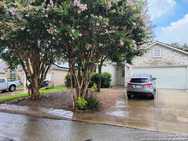 Details for 15318 Spring Land, San Antonio, TX 78247