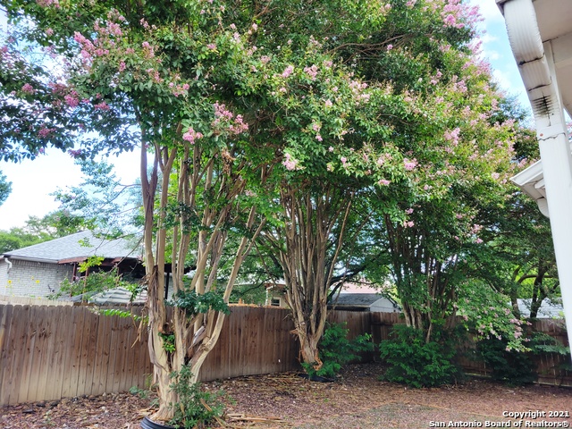 Image 16 of 18 For 15318 Spring Land