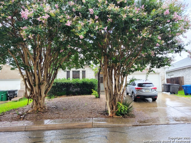 Image 18 of 18 For 15318 Spring Land
