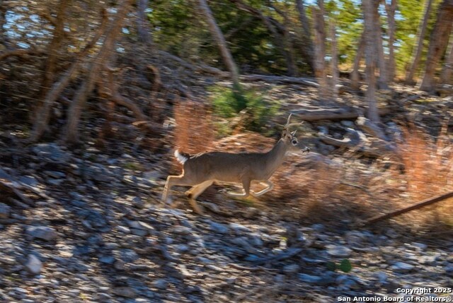 Image 4 of 4 For 285 Big Buck Circle