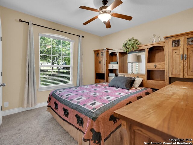 Image 13 of 49 For 25603 Singing Rain