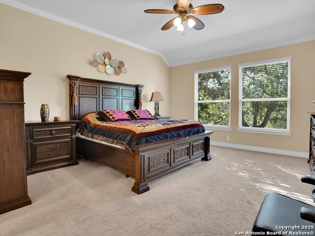 Image 16 of 49 For 25603 Singing Rain