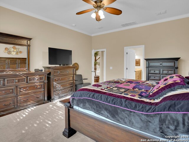 Image 17 of 49 For 25603 Singing Rain