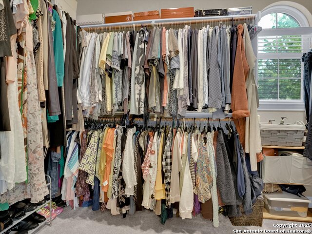 Image 20 of 49 For 25603 Singing Rain