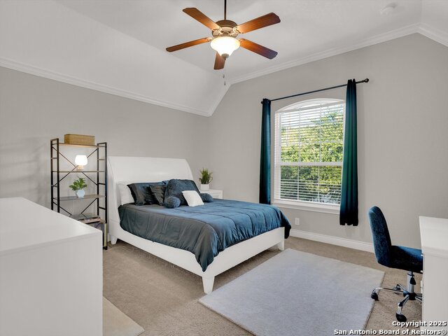 Image 29 of 49 For 25603 Singing Rain