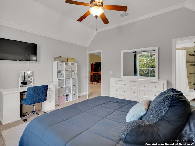 Image 30 of 49 For 25603 Singing Rain