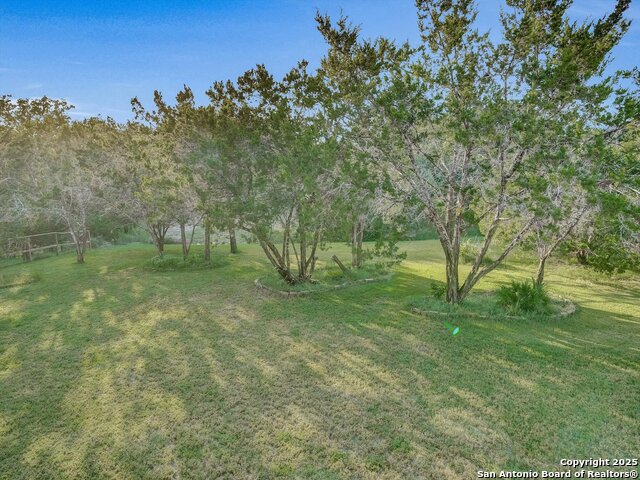 Image 42 of 49 For 25603 Singing Rain