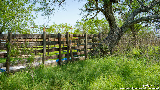 Image 13 of 23 For 3407 County Road 215