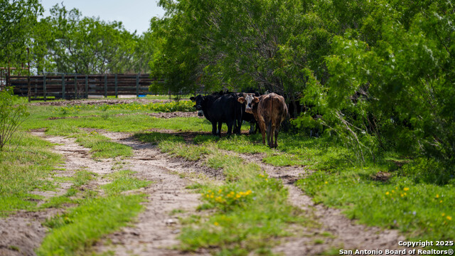 Image 15 of 23 For 3407 County Road 215