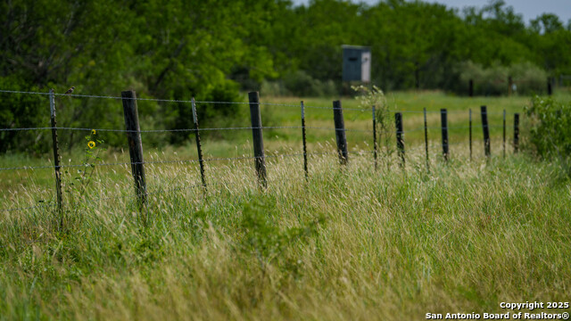 Image 16 of 23 For 3407 County Road 215