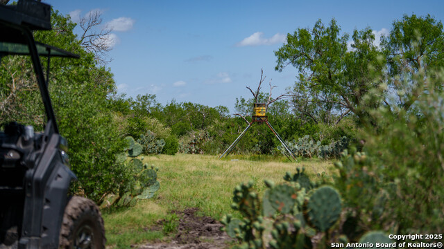 Image 17 of 23 For 3407 County Road 215
