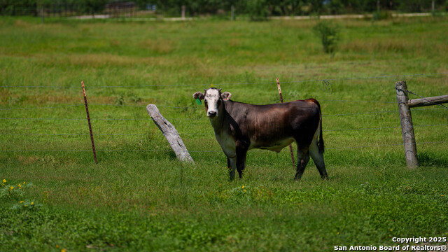 Image 18 of 23 For 3407 County Road 215