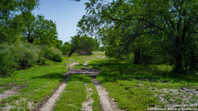Image 2 of 23 For 3407 County Road 215