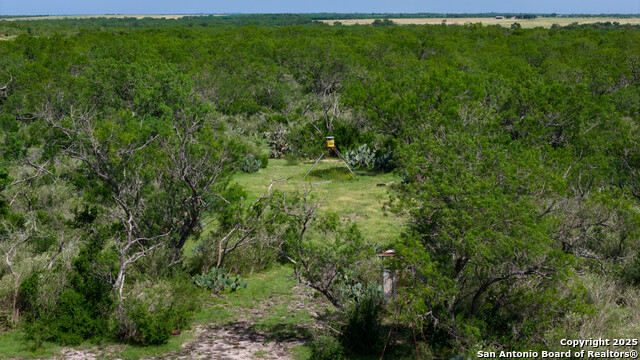 Image 21 of 23 For 3407 County Road 215