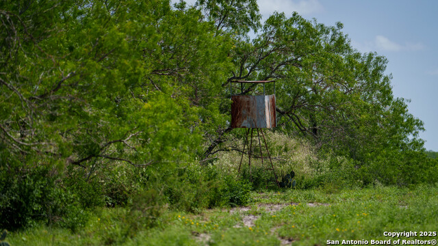 Image 22 of 23 For 3407 County Road 215