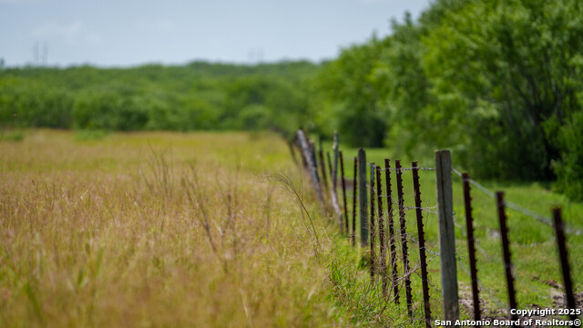Image 6 of 23 For 3407 County Road 215