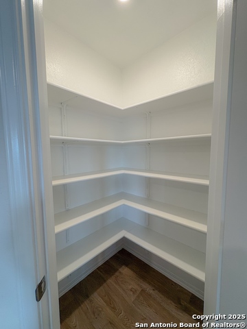 Image 8 of 15 For 15302 Smoky Honeyeater