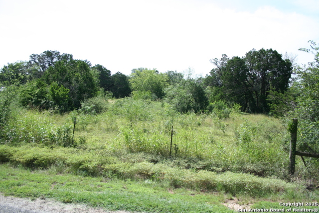 Listing photo id 3 for 28028 Old Windmill Rd