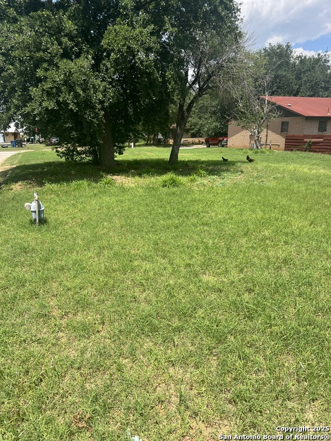 Image 2 of 13 For 110 Woodlawn S