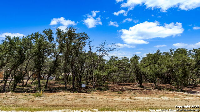 Details for 681 Travis Forest, Bulverde, TX 78163