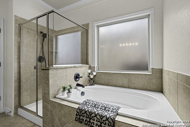 Image 14 of 29 For 113 Bonn  