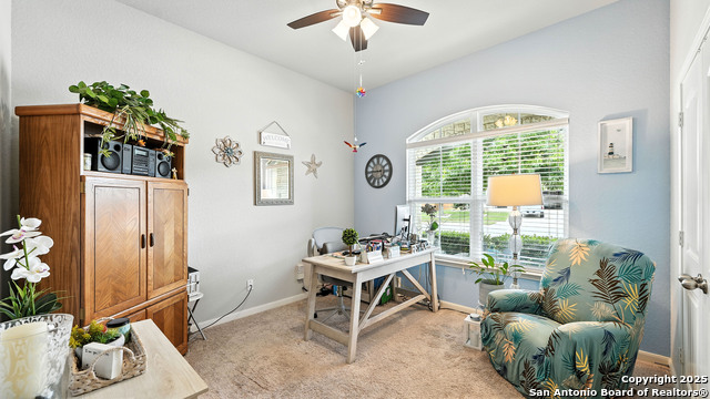 Image 18 of 29 For 323 Limestone