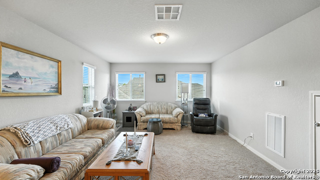 Image 19 of 29 For 323 Limestone