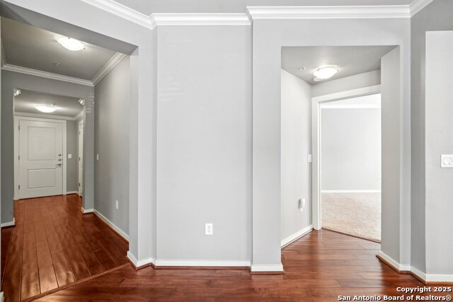 Image 7 of 45 For 7342 Oak Manor  4209