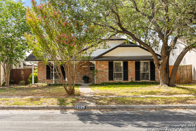 Details for 12126 Lemon Blossom, San Antonio, TX 78247