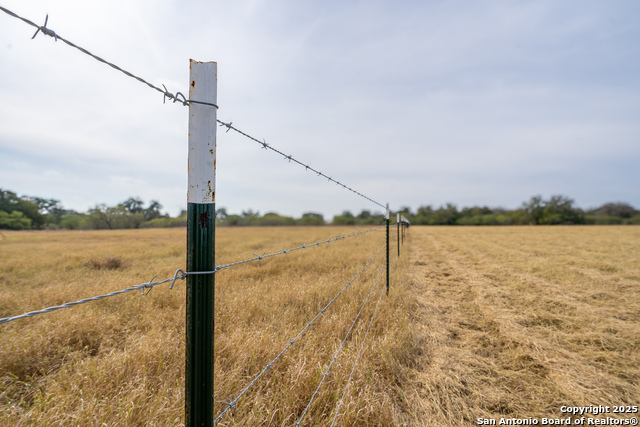 Listing photo id 5 for 956 Johnson Farms