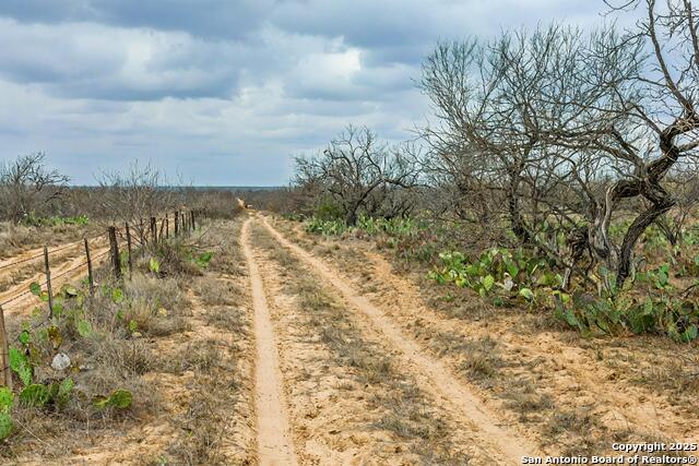 Image 20 of 27 For 773 Toquigny