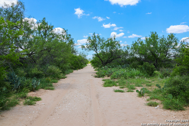 Image 22 of 27 For 773 Toquigny