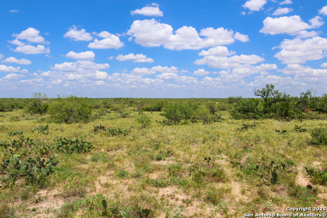 Image 23 of 27 For 773 Toquigny