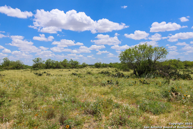 Image 24 of 27 For 773 Toquigny