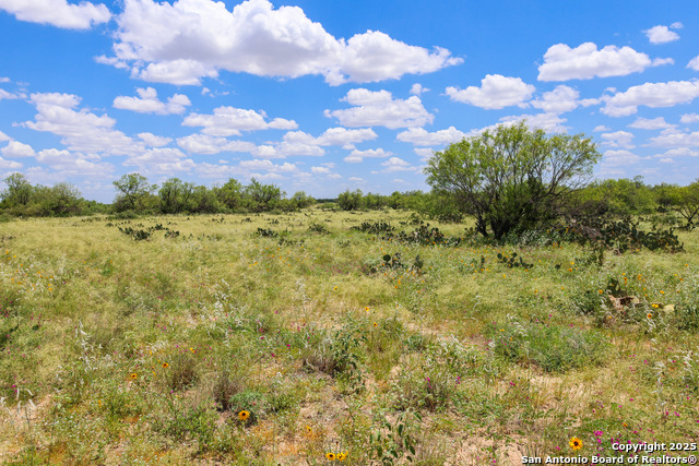 Image 25 of 27 For 773 Toquigny