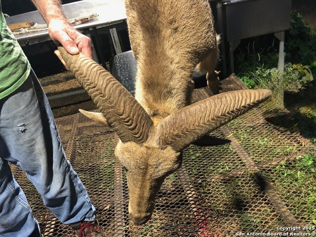 Image 4 of 27 For 773 Toquigny